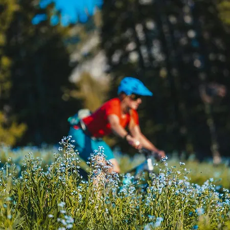 Gentianes - Center Next To Aiguille Du Midi Lift - By Cozee Apartamento *