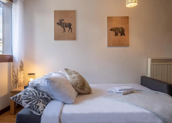 Gentianes - Center Next To Aiguille Du Midi Lift - By Cozee *