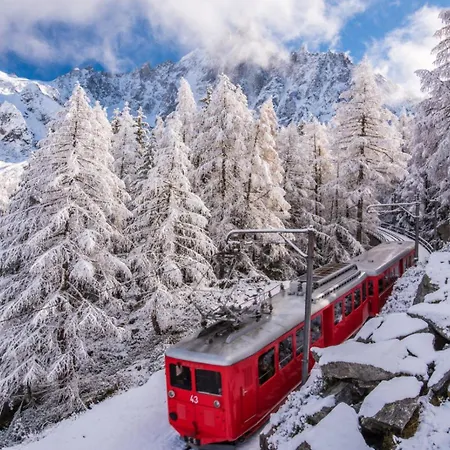 Gentianes - Center Next To Aiguille Du Midi Lift - By Cozee 公寓