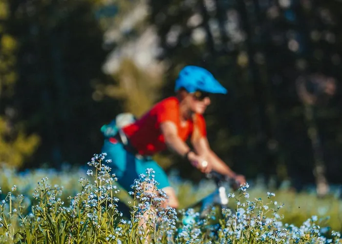 Gentianes - Center Next To Aiguille Du Midi Lift - By Cozee Apartment *